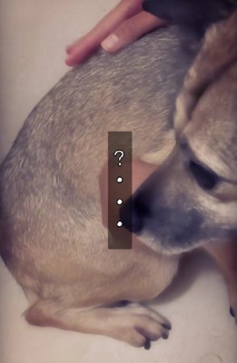 「もしかして怖くない？」