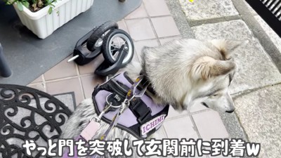 様子を見ながら門を突破