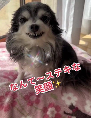 投稿主さんの笑顔を真似するように！