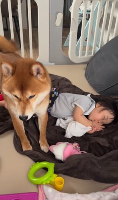 赤ちゃんを起こすポテくん