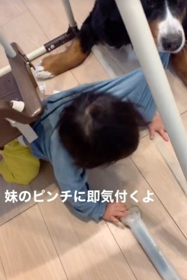 女の子を見守るダンロくん7