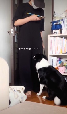 一生懸命ニオイを確認