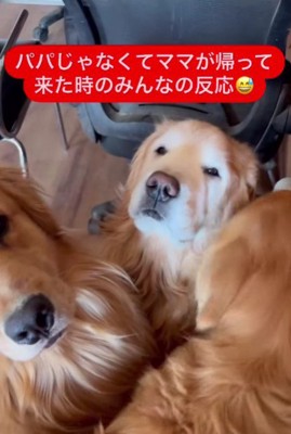 ママが帰宅したら…