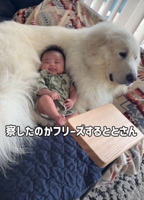 絶対に動かない