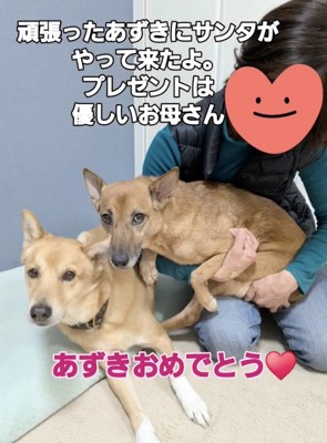 幸せになろうね