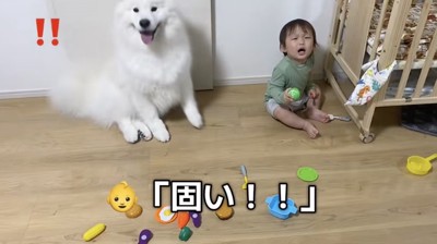 「怒られた!?」