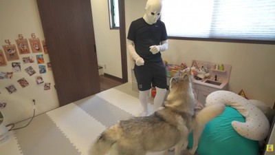 不審者(パパ)を通せんぼ