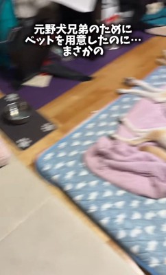 隣を見たら…