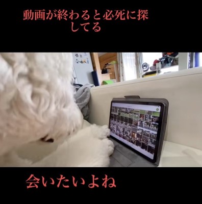 必死で探してる