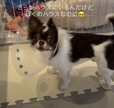 「ママ!ちょっときて!」