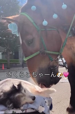 ダイちゃんが触れると…