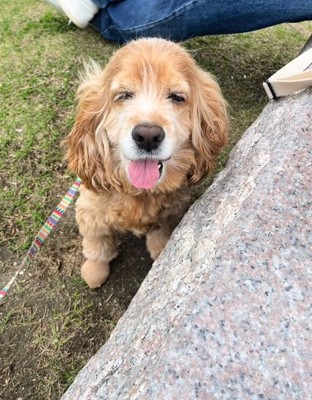 目を細める茶子ちゃん