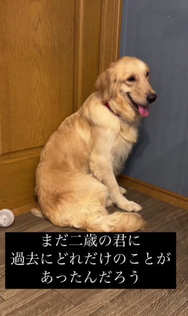 怯え切った表情に涙…