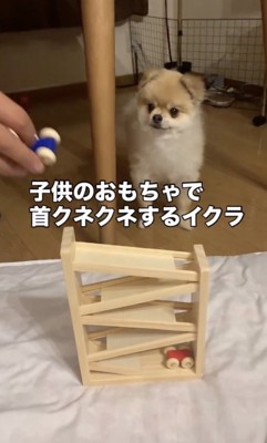 「きになる…」