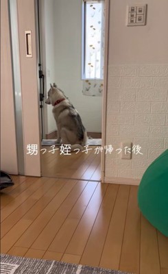 甥っ子と姪っ子が帰った後の神ちゃん6