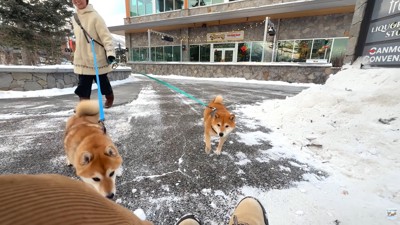 確信した瞬間に大喜び！