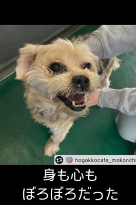 トラウマを抱えてしまった