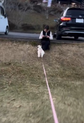 爆走のピコちゃん