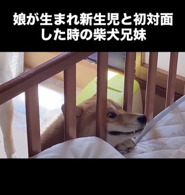 今ではすっかり仲良し