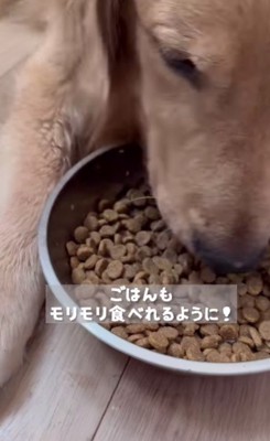 食欲が戻ってくると…