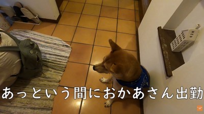まずはお母さんをお見送り