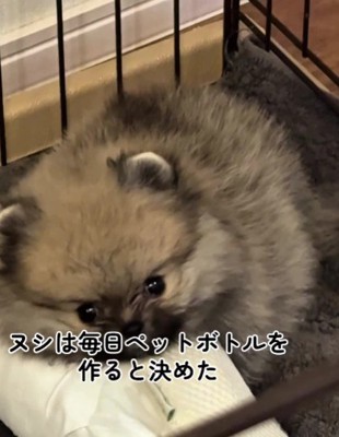 とっても気に入った♪