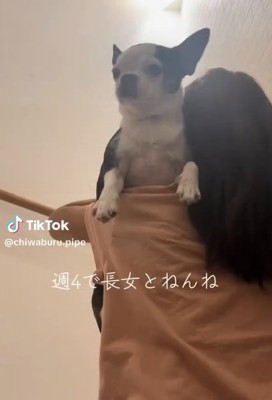 抱っこされるピペちゃん