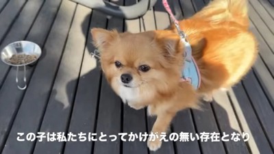 かけがえのない存在に