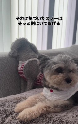 ちょっとずつ慣れようね