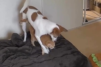 「こうすれば暖かいね」