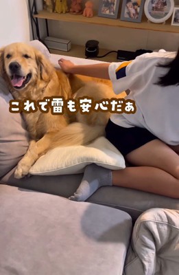 ソファの隅へと避難