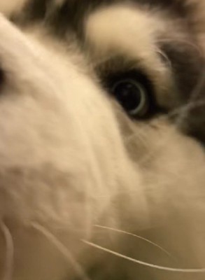 「おかえり！！」