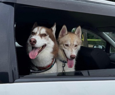 家に迎えたら…