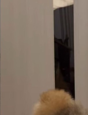 パパさんが帰ってきたら…