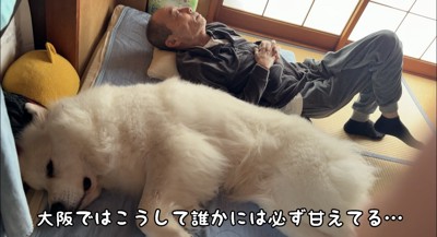おじいちゃんの隣で寝そべる犬