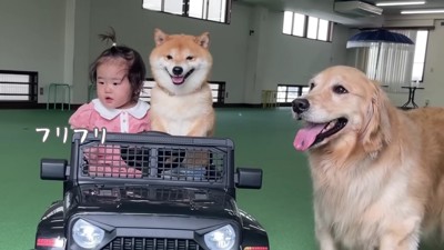 音楽でノリノリ