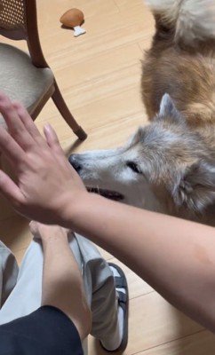 もう一度手を上げる投稿主さん