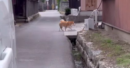 キュンキュンが止まらない♡