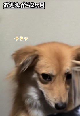 「本当に仲良くなれる?」