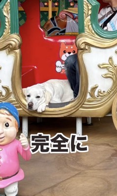 さっきまで楽しんでたのに