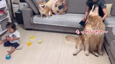 ばあばに甘えるおからちゃん