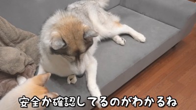 「今はまずいな…」