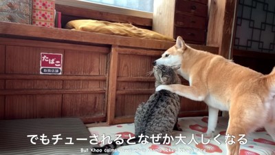 戦意喪失する姿に爆笑♪