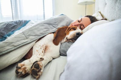 愛犬と添い寝する女性