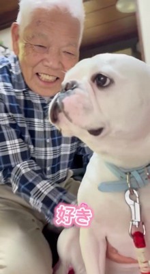 犬に話しかける男性