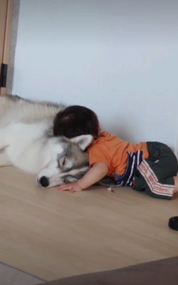 「このモフモフ、最高…」