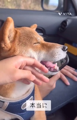 嬉しそうなキョロスケくん