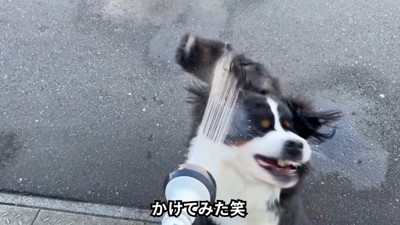 顔面に水を浴びたら…