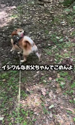 イタズラに