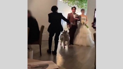 結婚式を挙げたそう